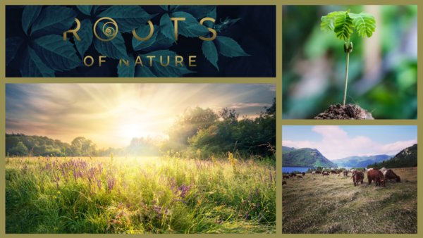 Home - Roots of Nature