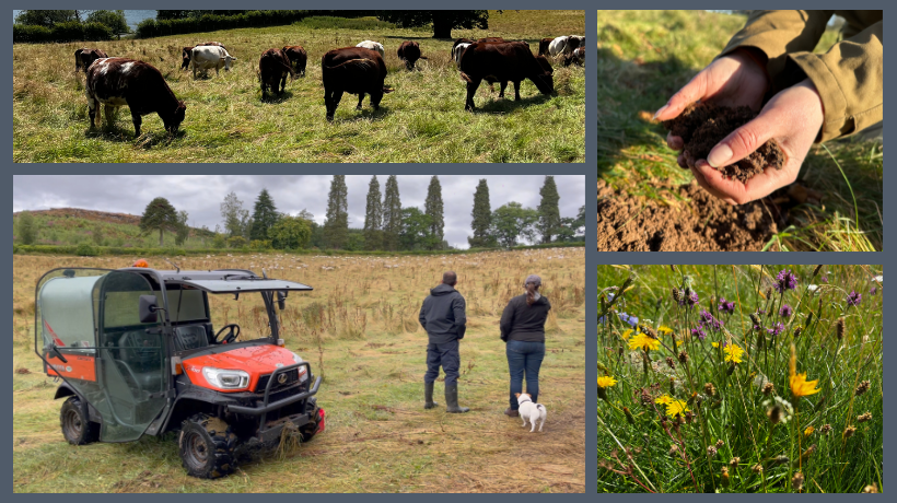 Regenerative Agriculture consultancy