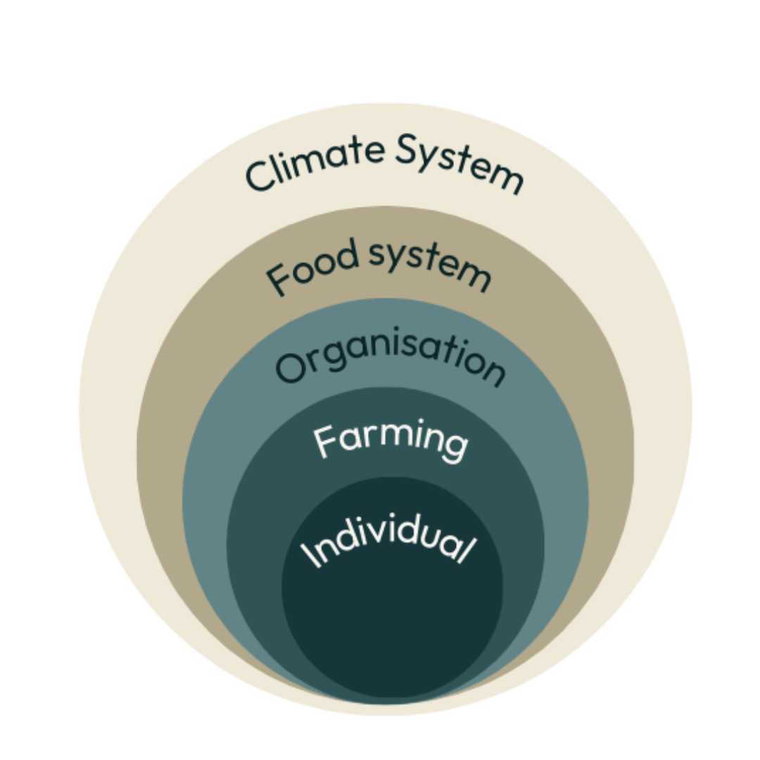 A whole system change to regenerative farming