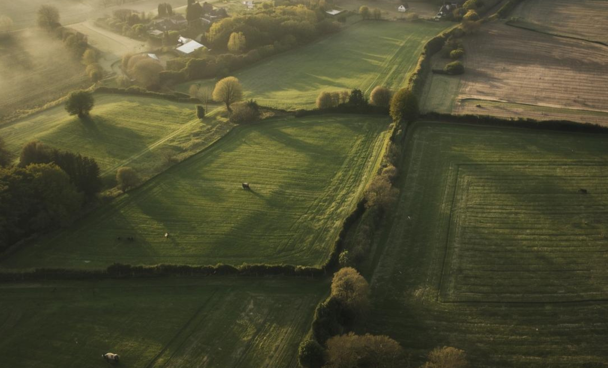 Regenerative farmland - interconnected systems thinking in action